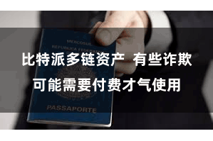 比特派多链资产 有些诈欺可能需要付费才气使用