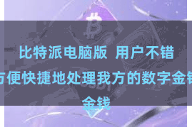 比特派电脑版 用户不错方便快捷地处理我方的数字金钱