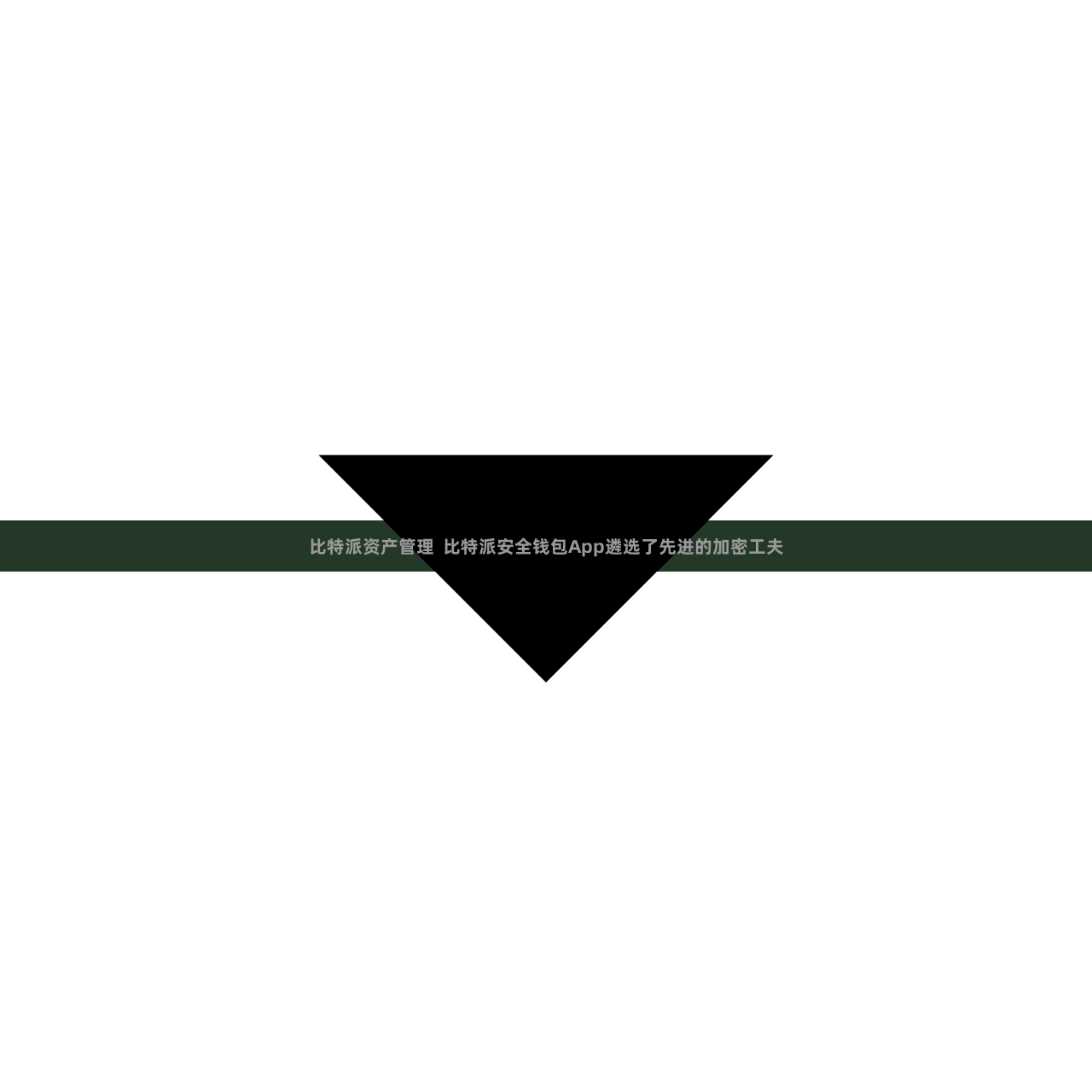 比特派资产管理 比特派安全钱包App遴选了先进的加密工夫
