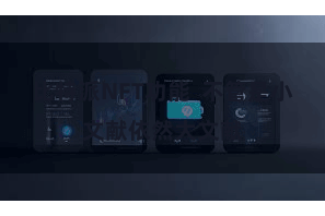 比特派NFT功能  不管是小文献依然大文献