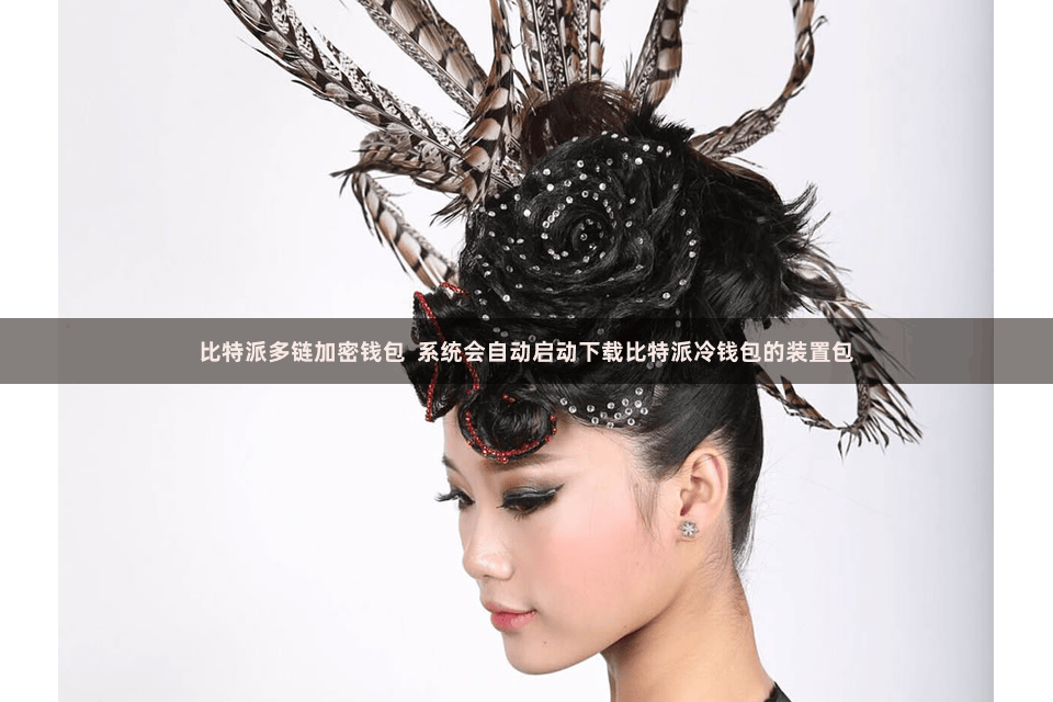 比特派多链加密钱包  系统会自动启动下载比特派冷钱包的装置包