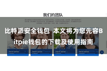 比特派安全钱包  本文将为您先容Bitpie钱包的下载及使用指南