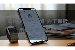 比特派资产存储  为了保险用户的钞票安全