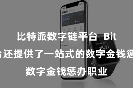 比特派数字链平台  Bitpie平台还提供了一站式的数字金钱惩办职业
