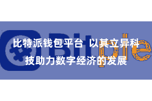 比特派钱包平台  以其立异科技助力数字经济的发展