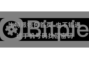 比特派钱包首页  也不错通过手机号码找回密码