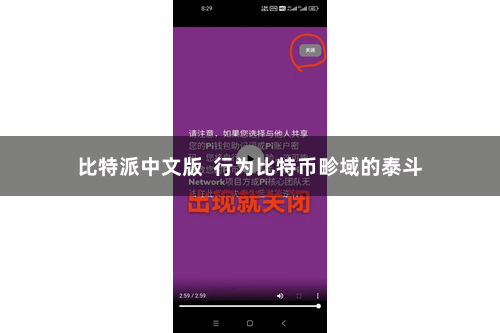 比特派中文版  行为比特币畛域的泰斗