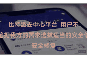 比特派去中心平台  用户不错笔据我方的需求选拔适当的安全修复